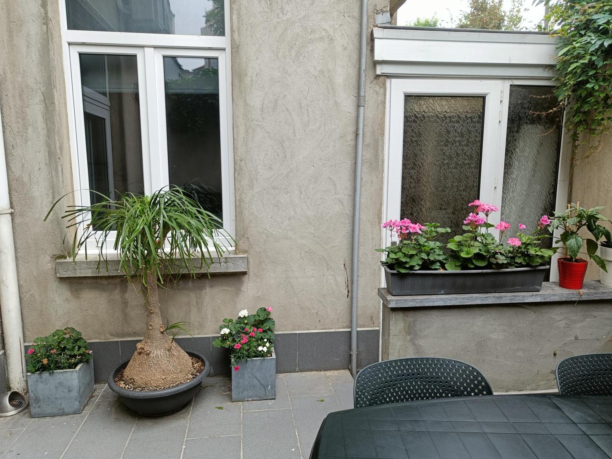 The Brussels-Laken Appartement Exteriér fotografie